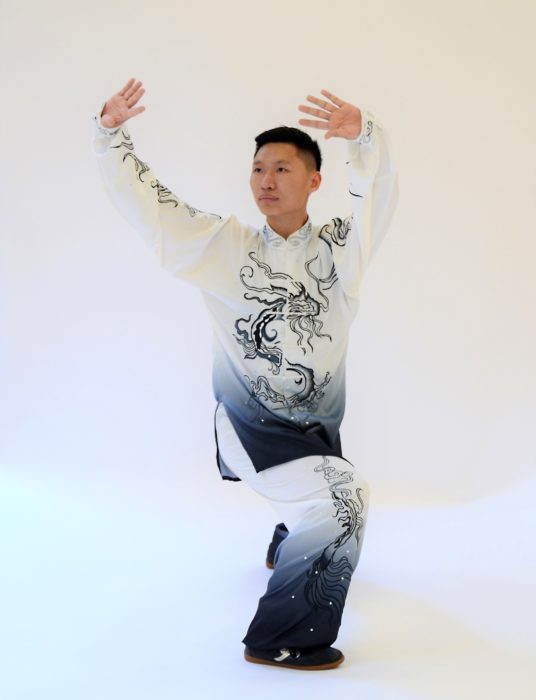 Les 20 Mouvements Essentiels Du Qi Gong Pdf